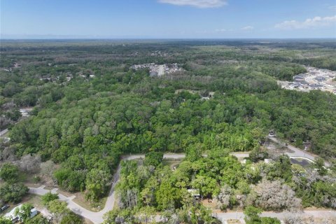 Land in New Port Richey, Florida № 2163457 - photo 4