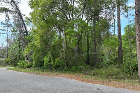 Land in New Port Richey, Florida № 2163457 - photo 21