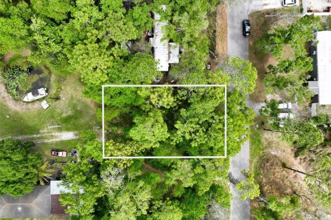 Terreno en New Port Richey, Florida № 2163457