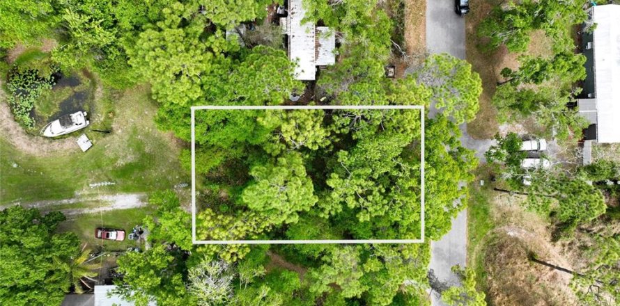 Land in New Port Richey, Florida № 2163457
