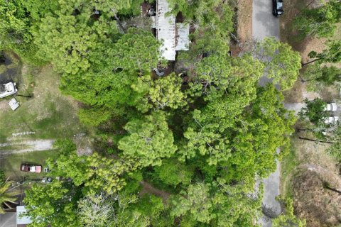 Land in New Port Richey, Florida № 2163457 - photo 17