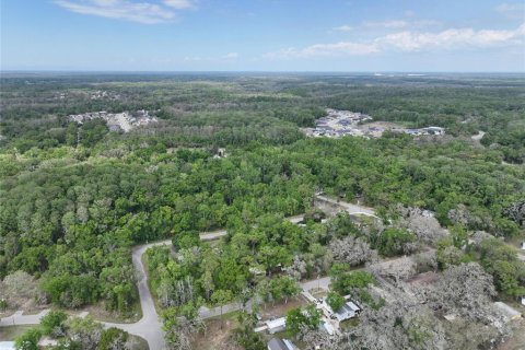 Land in New Port Richey, Florida № 2163457 - photo 7
