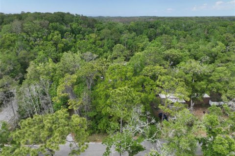 Land in New Port Richey, Florida № 2163457 - photo 19
