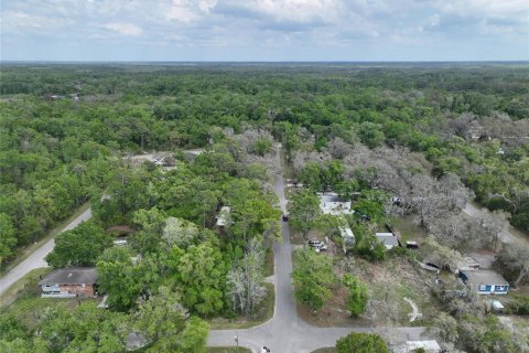 Land in New Port Richey, Florida № 2163457 - photo 12
