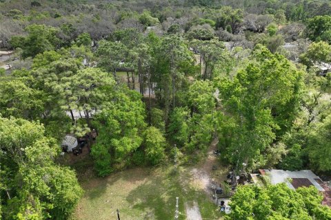 Land in New Port Richey, Florida № 2163457 - photo 24
