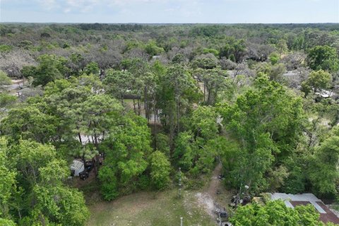 Land in New Port Richey, Florida № 2163457 - photo 20