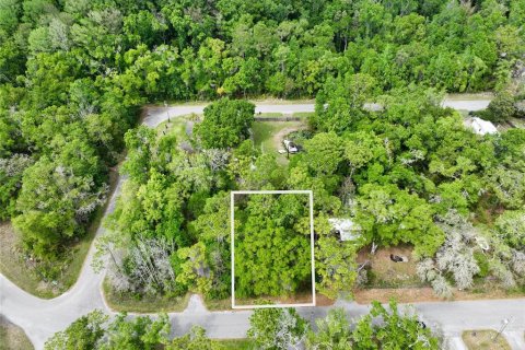 Land in New Port Richey, Florida № 2163457 - photo 2
