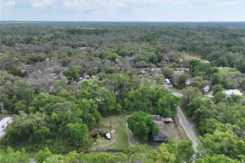 Land in New Port Richey, Florida № 2163457 - photo 9