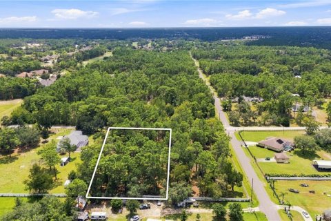 Land in Brooksville, Florida № 2329284