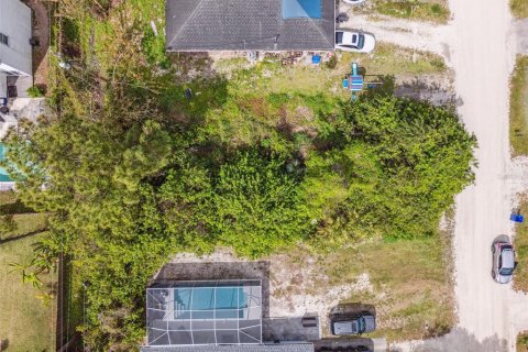 Land in Vero Beach, Florida № 2212418 - photo 3