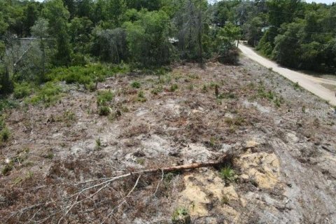 Terreno en venta en Umatilla, Florida № 2195508 - foto 5