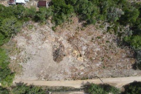 Terreno en venta en Umatilla, Florida № 2195508 - foto 6