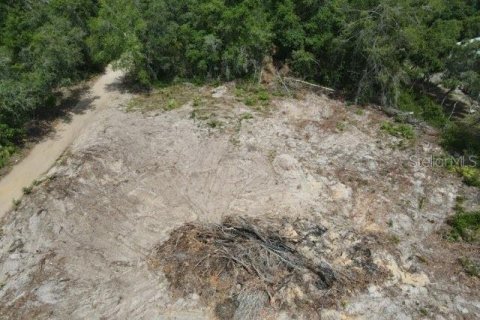 Terreno en venta en Umatilla, Florida № 2195508 - foto 3