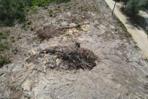 Terreno en venta en Umatilla, Florida № 2195508 - foto 2