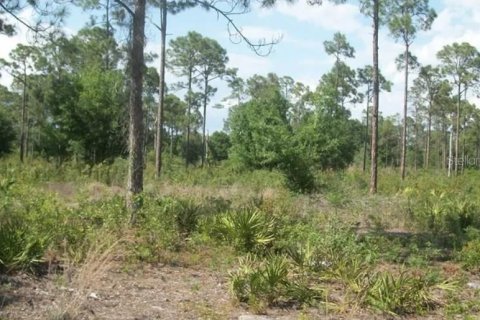 Land in Clewiston, Florida № 2396172