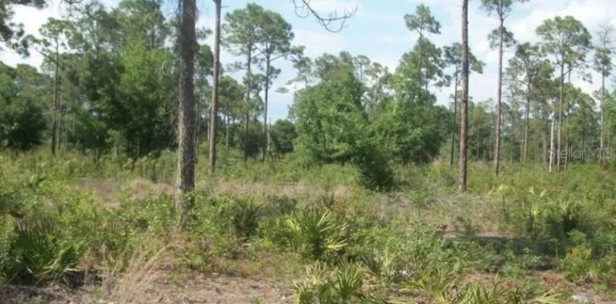 Land in Clewiston, Florida № 2396172