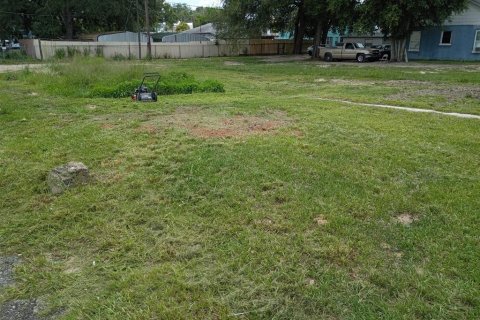 Land in Lake Wales, Florida № 2334250