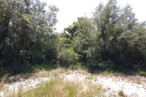 Land in LaBelle, Florida № 1096736 - photo 1