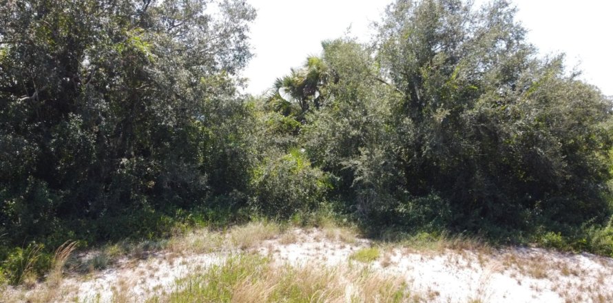 Land in LaBelle, Florida № 1096736