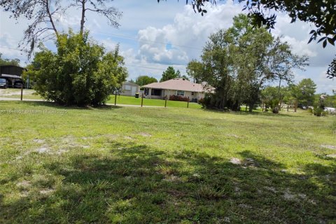 Commercial property in Lake Placid, Florida № 1961979 - photo 7