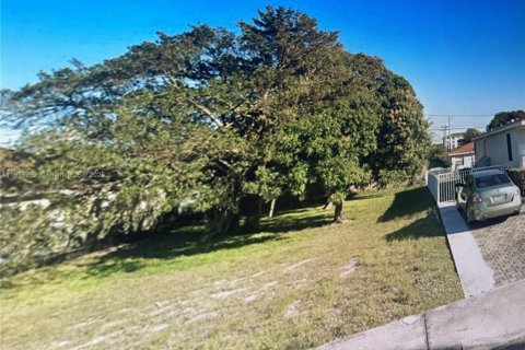 Land in West Palm Beach, Florida № 1973575 - photo 1