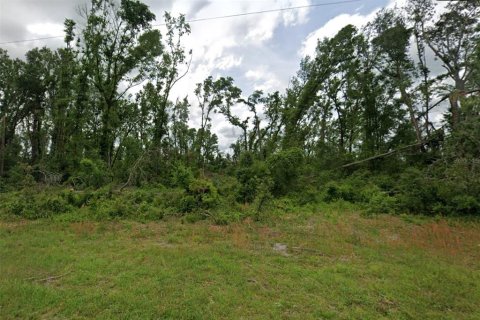 Land in Mayo, Florida № 2228942