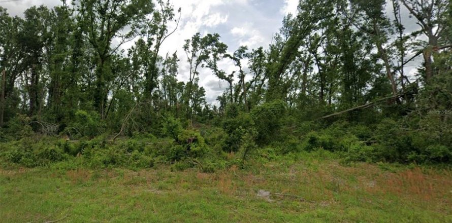 Terrain à Mayo, Floride № 2228942