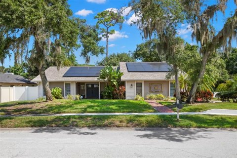 Villa ou maison à Palm Harbor, Floride 3 chambres, 218.88 m2 № 2312724
