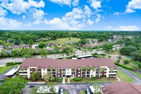 Condo in Tampa, Florida, 1 bedroom  № 2142183