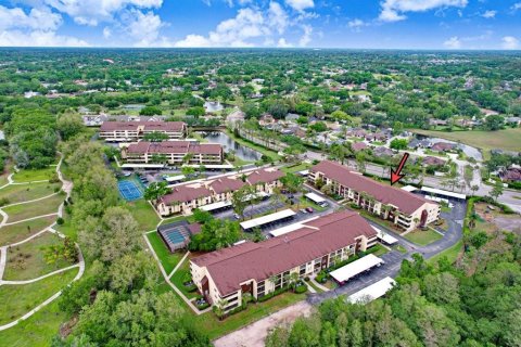 Купить кондоминиум в Тампа, Флорида 4 комнаты, 68.19м2, № 2142183 - фото 26