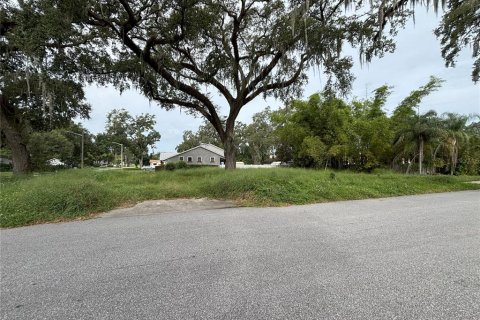 Terreno en venta en Orlando, Florida № 1905440 - foto 3