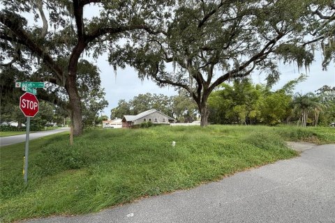 Terreno en venta en Orlando, Florida № 1905440 - foto 1