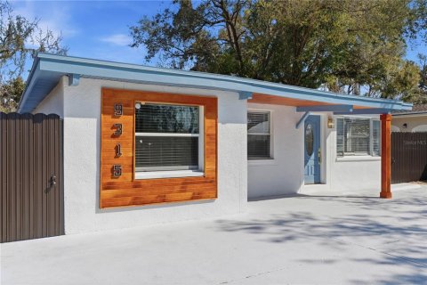 House in Tampa, Florida 5 bedrooms, 135.82 sq.m. № 2166189 - photo 3