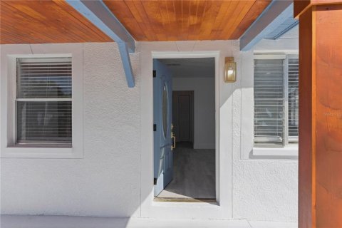 House in Tampa, Florida 5 bedrooms, 135.82 sq.m. № 2166189 - photo 4