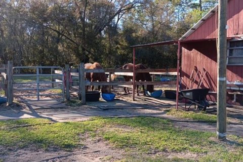 Casa en venta en Paisley, Florida, 3 dormitorios, 147.9 m2 № 1719051 - foto 22