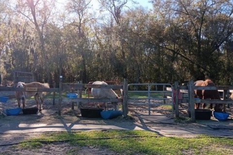 Casa en venta en Paisley, Florida, 3 dormitorios, 147.9 m2 № 1719051 - foto 20