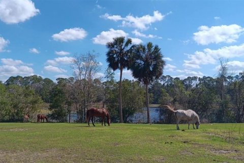 Casa en venta en Paisley, Florida, 3 dormitorios, 147.9 m2 № 1719051 - foto 25