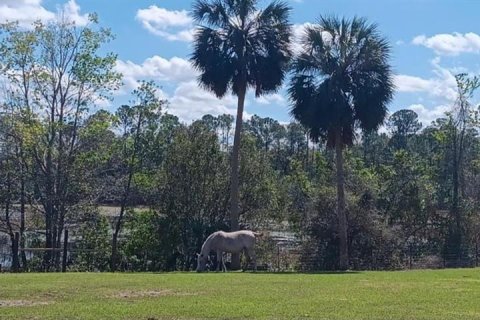 Casa en venta en Paisley, Florida, 3 dormitorios, 147.9 m2 № 1719051 - foto 23