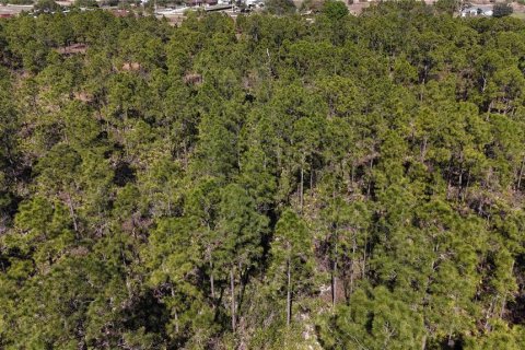 Terreno en venta en Naples, Florida № 1523379 - foto 26