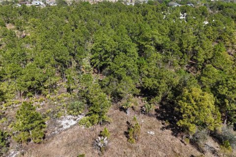 Terreno en venta en Naples, Florida № 1523379 - foto 8