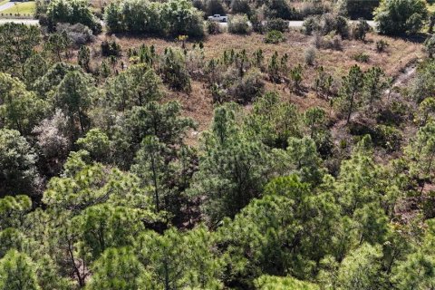 Terreno en venta en Naples, Florida № 1523379 - foto 13