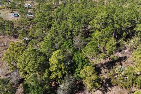 Terreno en venta en Naples, Florida № 1523379 - foto 6