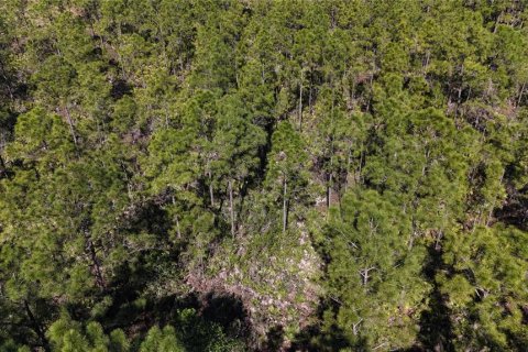 Terreno en venta en Naples, Florida № 1523379 - foto 23