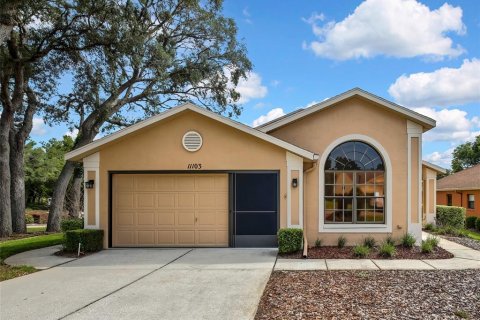 Villa ou maison à Spring Hill, Floride 2 chambres, 161.28 m2 № 2114589