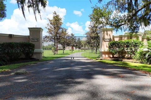 House in Ocala, Florida 7 bedrooms, 509.57 sq.m. № 2342543 - photo 3