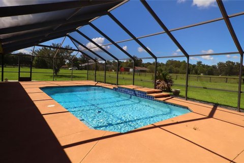 House in Ocala, Florida 7 bedrooms, 509.57 sq.m. № 2342543 - photo 27