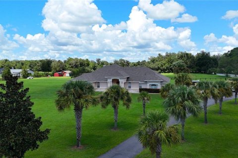 House in Ocala, Florida 7 bedrooms, 509.57 sq.m. № 2342543