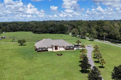 House in Ocala, Florida 7 bedrooms, 509.57 sq.m. № 2342543 - photo 2