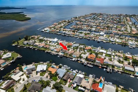 House in New Port Richey, Florida 2 bedrooms, 170.85 sq.m. № 1803510 - photo 3