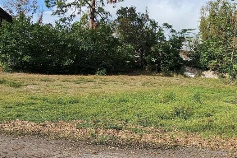 Terrain à Tarpon Springs, Floride № 2205767